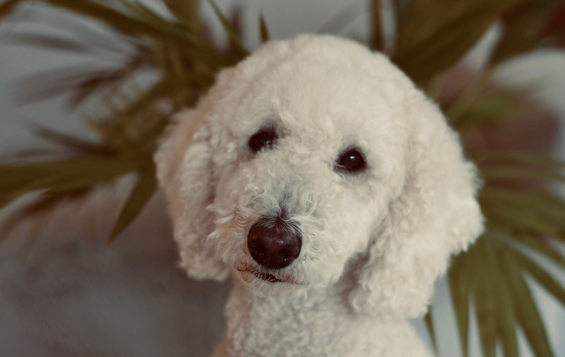 Thilda an der holländischen Nordseeküste.