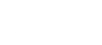 THE BALANCED EDGE