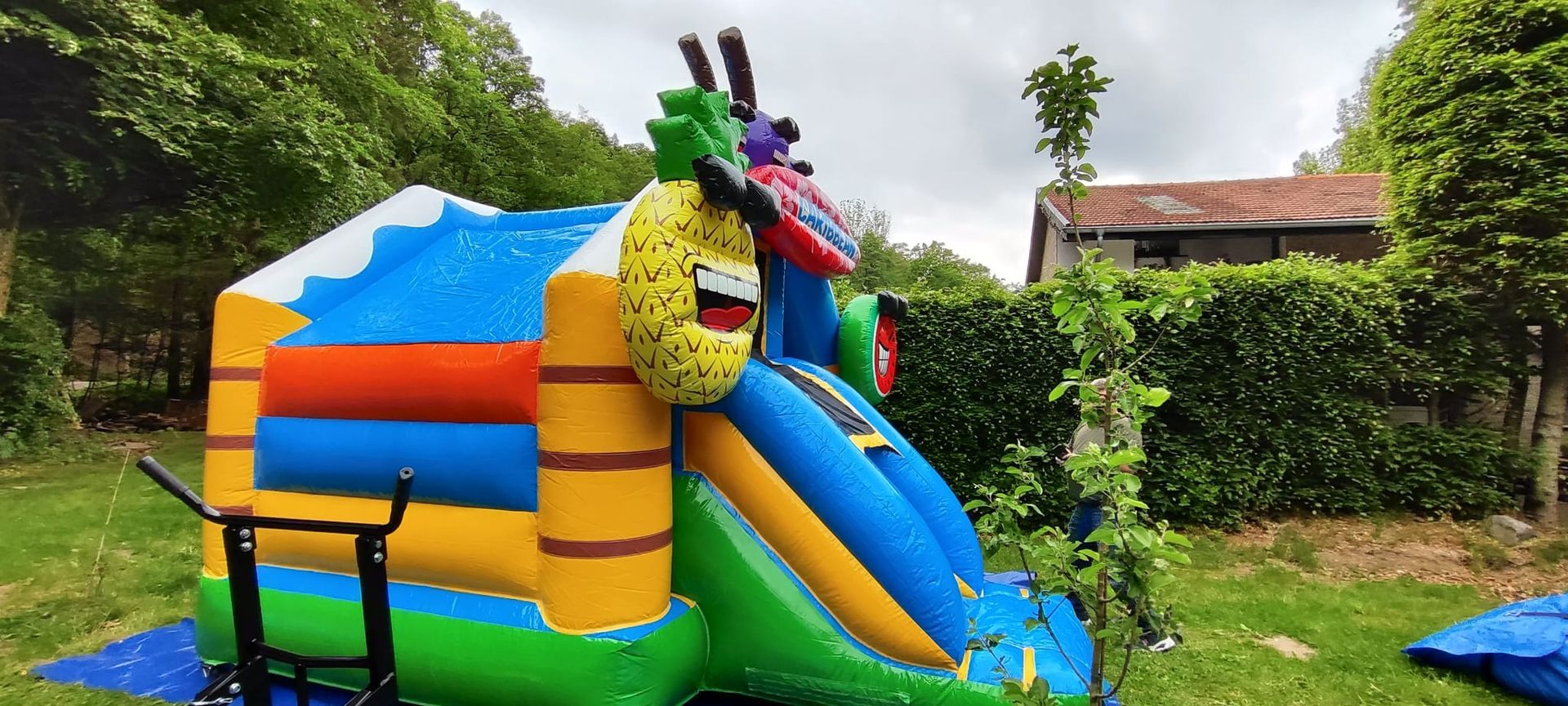 Hüpfburg Combo Karibik
Hüpfburgvermietung Veithen
Hüpfburgparadies Veithen
Stolberg, Eschweiler, Aachen, Düren
Hüpfburgvermietung Veithen
Hüpfburgparadies Veithen
Hüpfburg
Hüpfburg mieten
Partyzubehör
Hüpfburgverleih
Hüpfburgverleih Stolberg
Hüpfburgverleih Aachen
Hüpfburgvermietung Stolberg
Hüpfburgvermietung Eschweiler
Hüpfburgvermietung Aachen 
Hüpfburgvermietung Düren
Hüpfburgvermietung  Würselen
Hüpfburgvermietung Roetgen