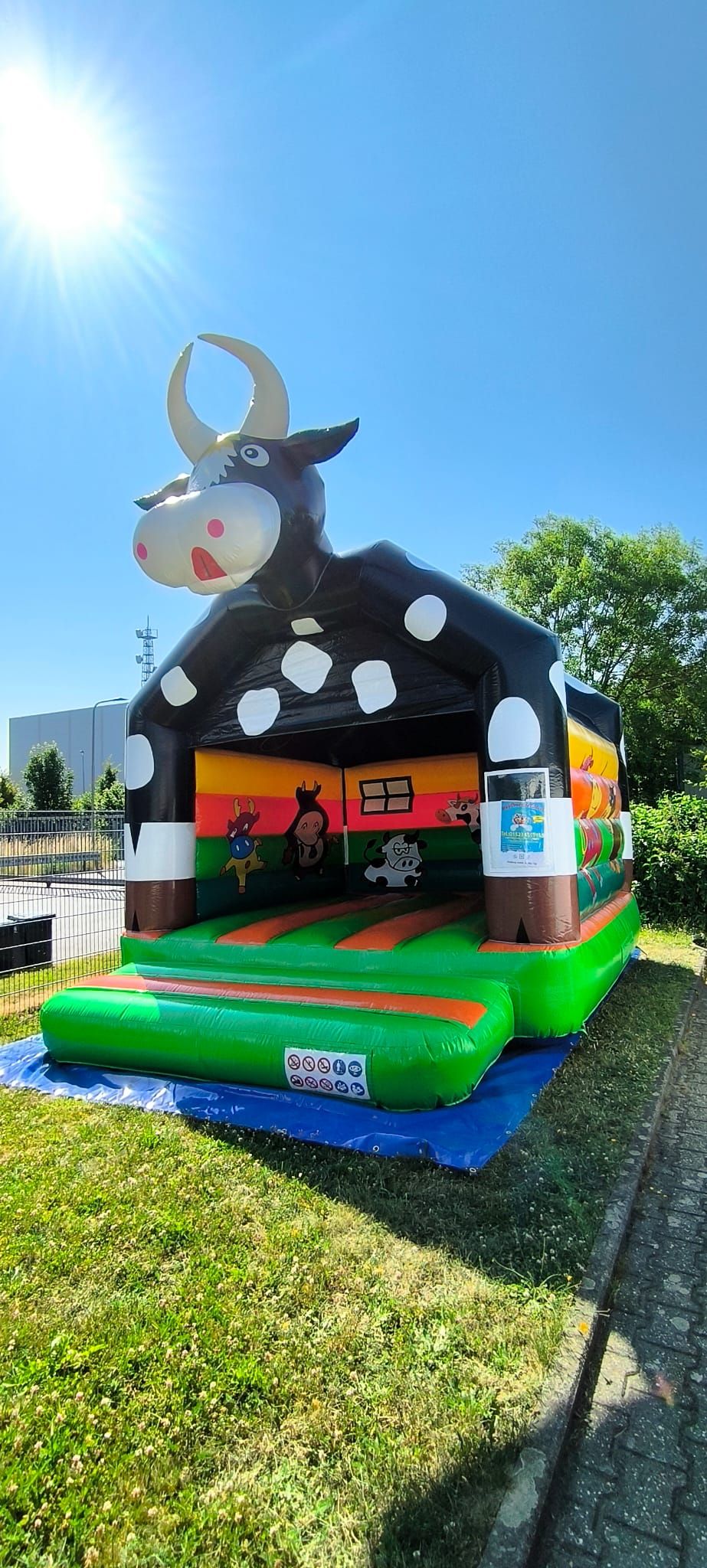 Hüpfburg Kuh
Hüpfburgvermietung Veithen
Hüpfburgparadies Veithen
Hüpfburg
Hüpfburg mieten
Partyzubehör
Hüpfburgverleih
Hüpfburgverleih Stolberg
Hüpfburgverleih Aachen
Hüpfburgvermietung Stolberg
Hüpfburgvermietung Eschweiler
Hüpfburgvermietung Aachen 
Hüpfburgvermietung Düren
Hüpfburgvermietung  Würselen