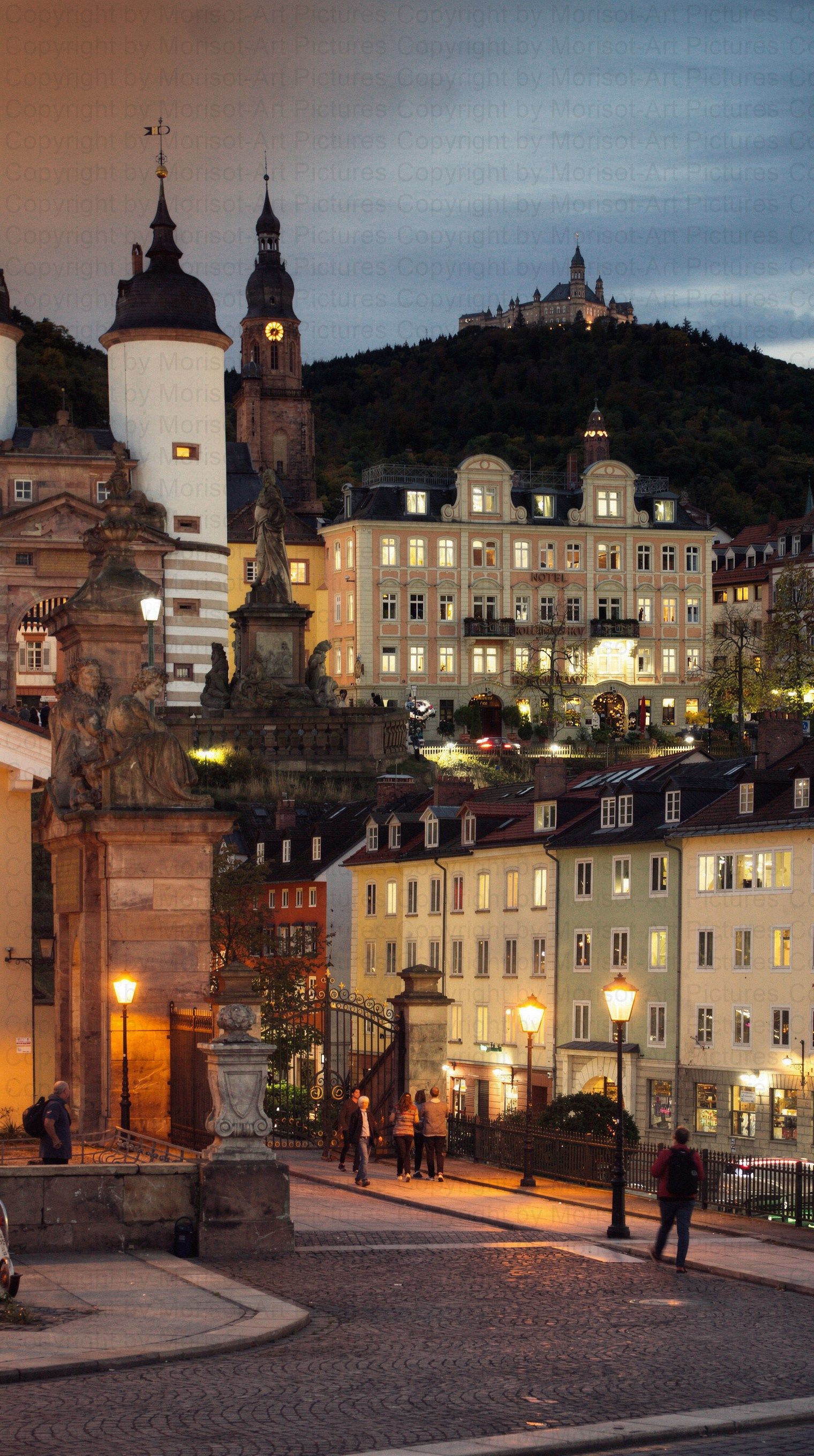 Abendansicht von Heidelberg, Deutschland, mit beleuchteten Gebäuden und dem Schloss am Hang.