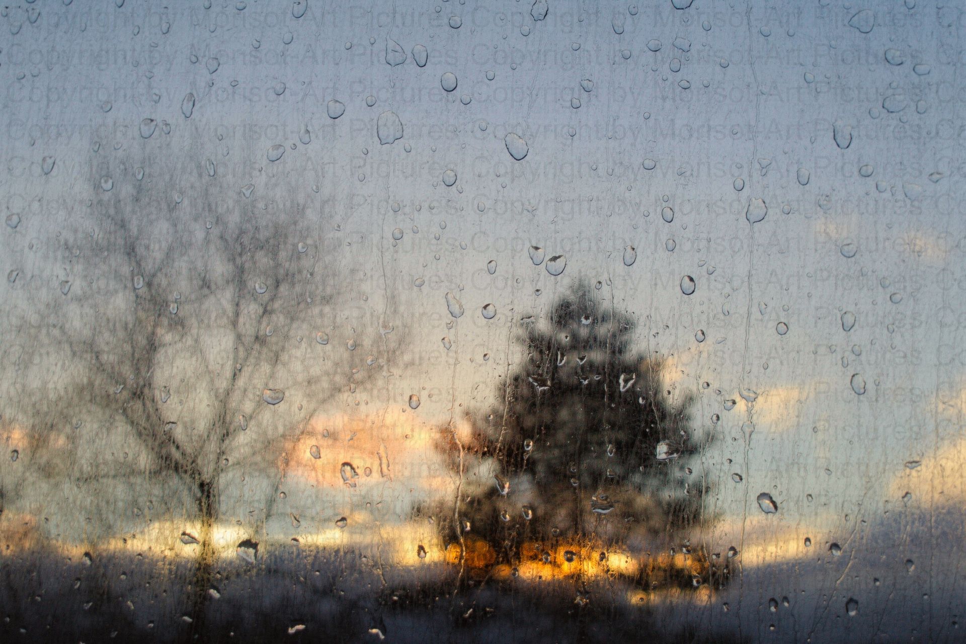 Regentropfen auf einem Fenster, verschwommener Blick auf Bäume vor einem Sonnenuntergang mit orangefarbenen und gelben Farbtönen.