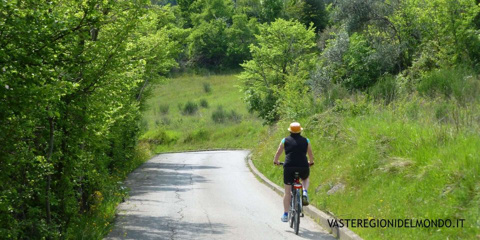 le biciclette abbandonate sopra il prato e po