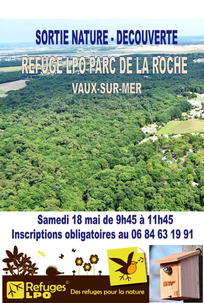 Sortie-nature dans le Bois de Millard à Vaux-Sur-Mer