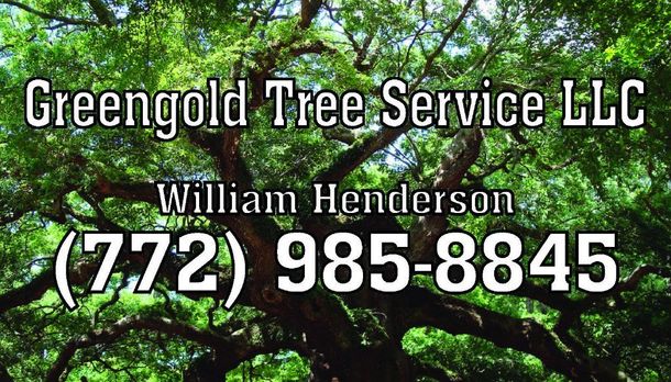 The 10 Best Tree Trimming Services Near Me (with Free Estimates)