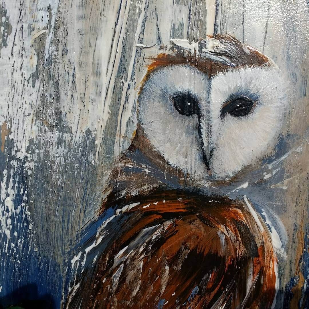Schleiereule, Gemälde von Claudia Koch