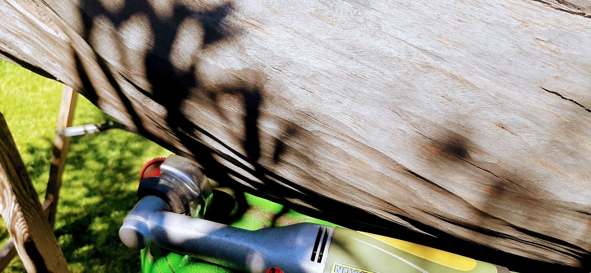 Grobschliff am Mooreichenstamm - im Atelier am Deich