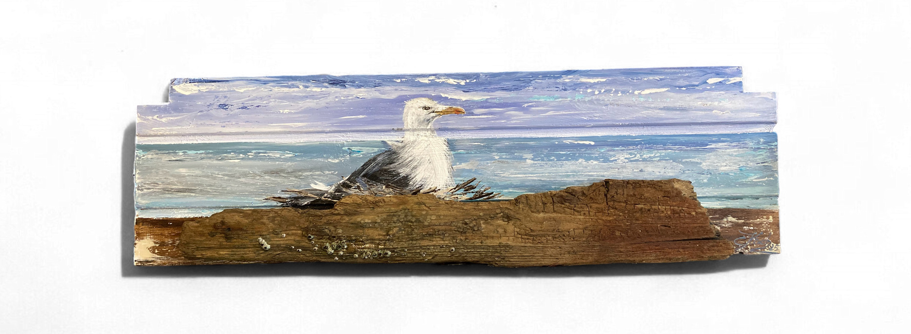 Handgemalte Möwe im Nest auf einem Seepocken besetzten Stück Treibholz, handgemalt von Claudia Koch