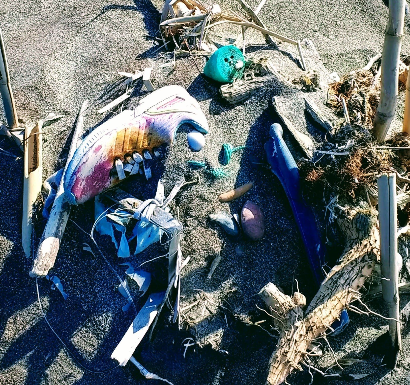 Angespülter Müll am Meer