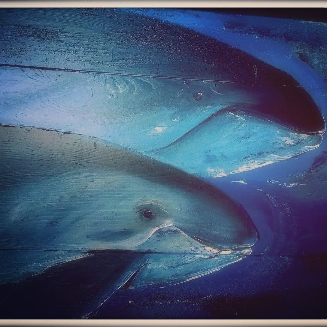 Zwei Schweinswale handgemalt von Claudia Koch in Dornumersiel