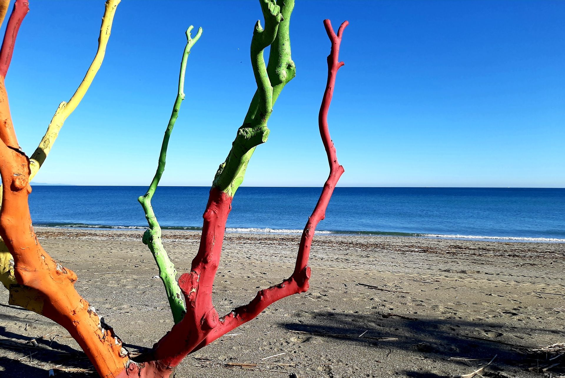 Bemaltes Treibholz als Baumskuptur am Strand von Oropesa in Spanien
