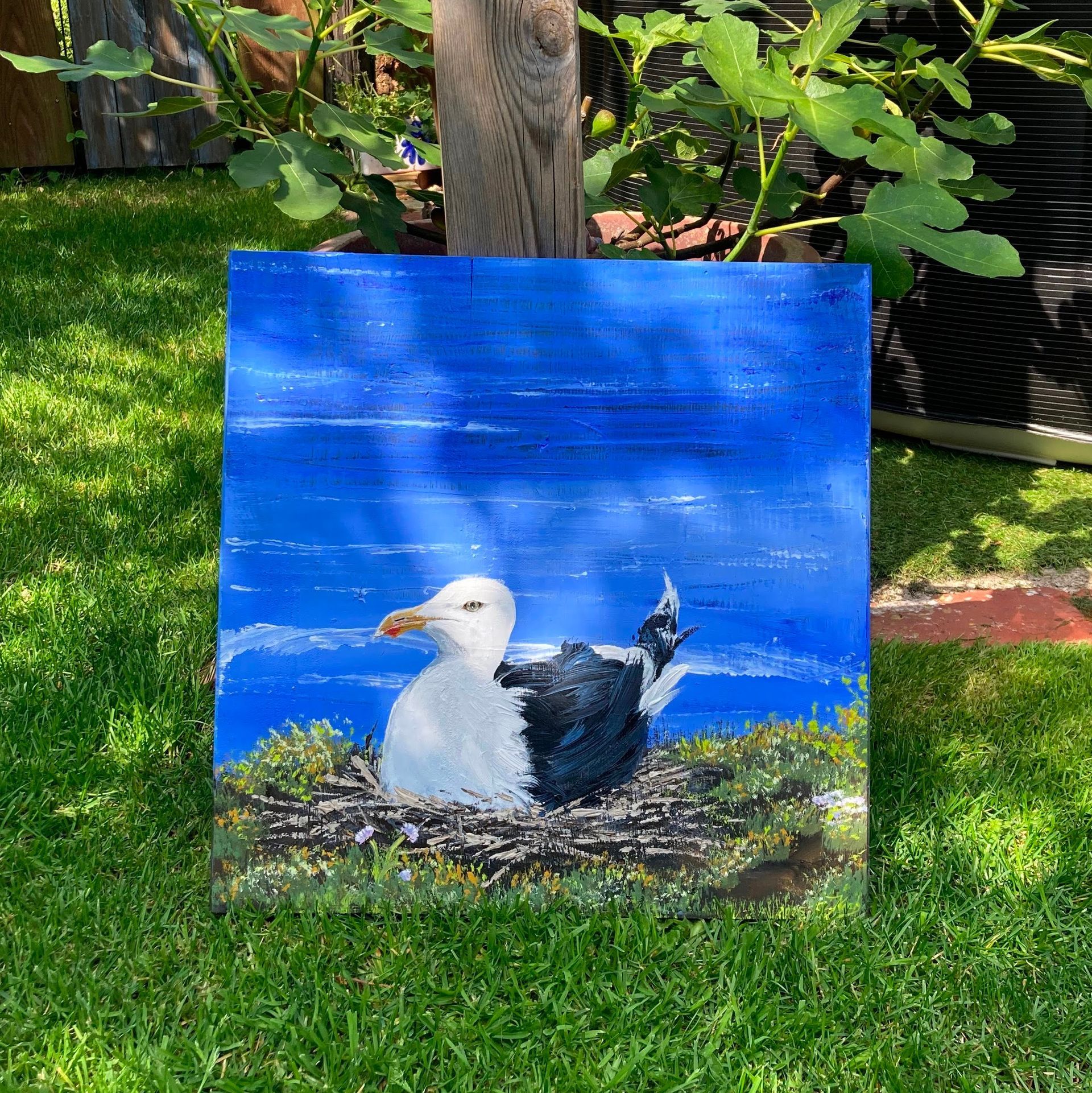 Eine Möwe im Nest bei Sonnenschein, Tiermalerei Atelier am Deich