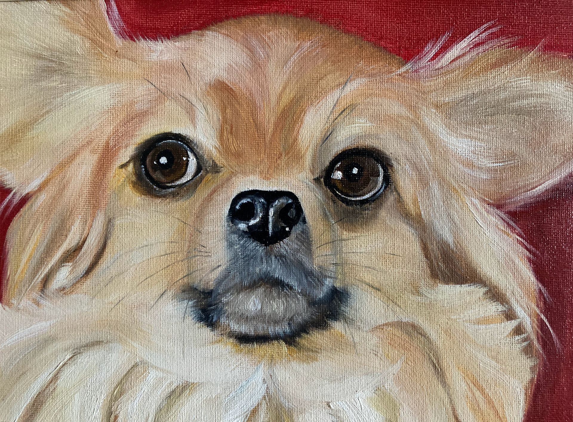 Handgemaltes Tierportrait in Öl, Chihuahua, Claudia Koch, Atelier am Deich, Dornum
