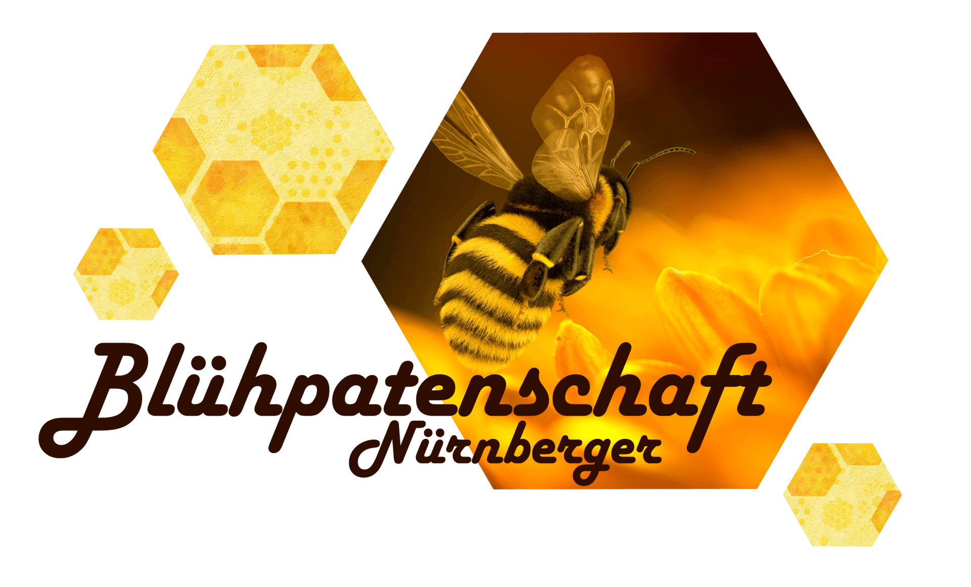 Blühpatenschaft Nürnberger