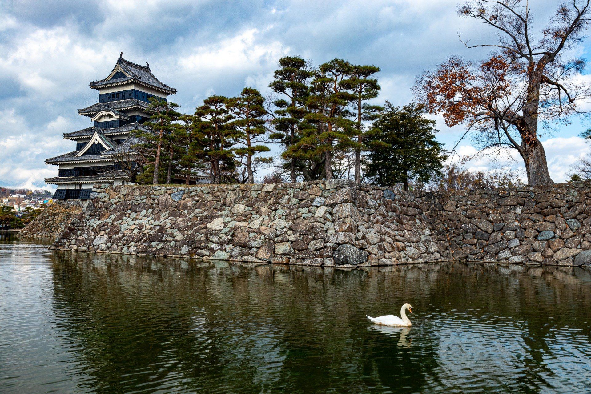 Vue sur le Château de Matsumoto, ses douves et un cygne 