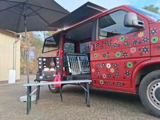 Roter Lieferwagen mit offener Seite, auf dem Waren ausgestellt sind; Tisch und Sonnenschirm sind im Freien aufgebaut.