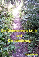 Buchcoverbild: Ein schmaler, hell Sonnenbeschienener Pfad im dichten Wald. Text: Der Jakobsknecht und der Jakobsweg.