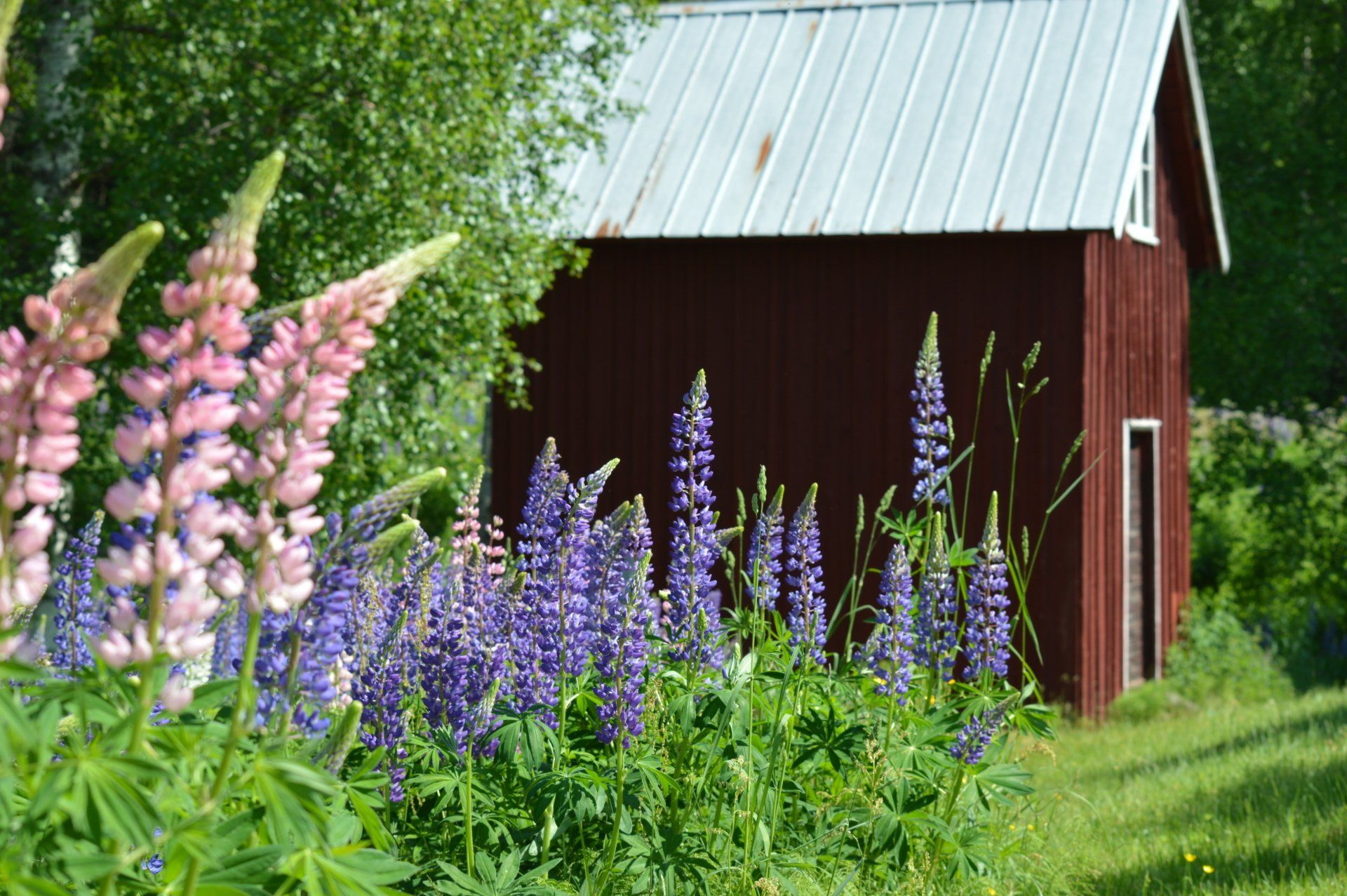 Küchenbänke, verfügbar