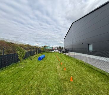 mobile-hundeschule-koeln-trainingsgelaende