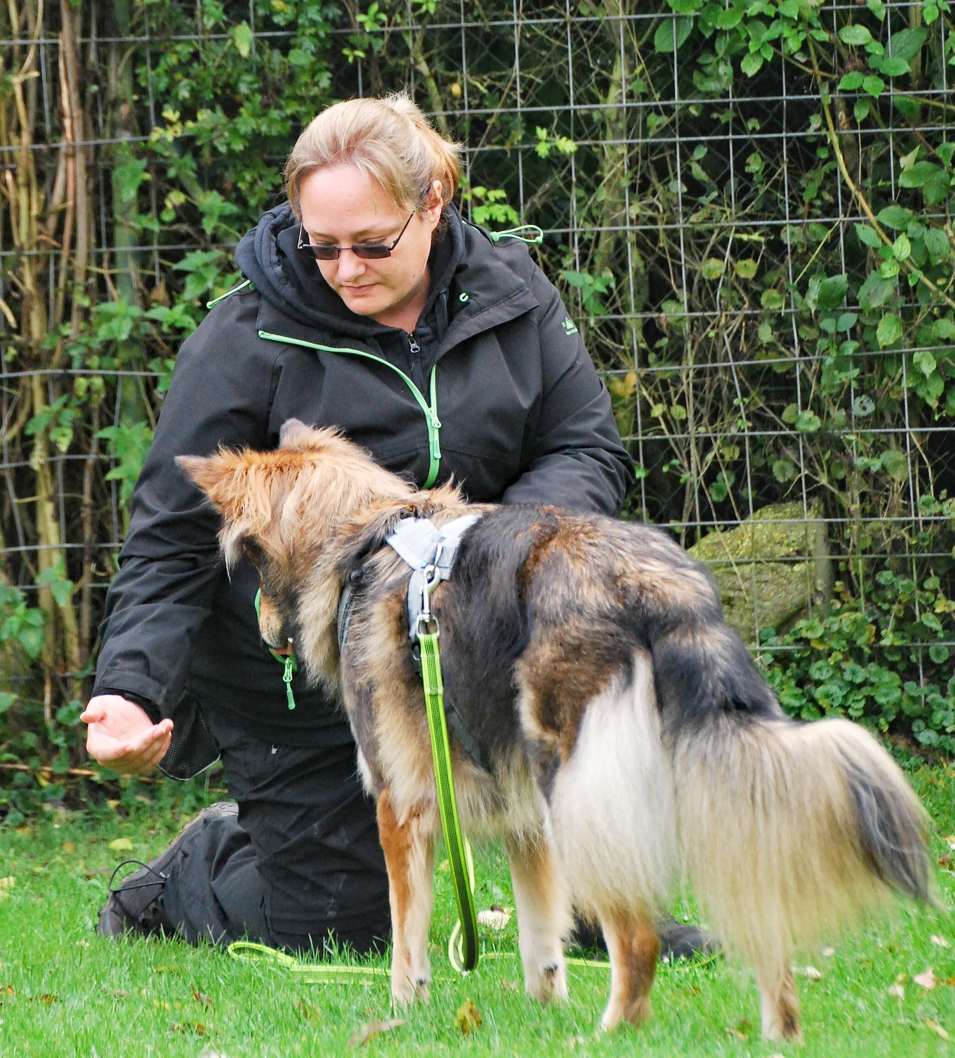 hundetraining-koeln-dogsquad.jpg