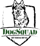 hundetraining-koeln-dogsquad.jpg