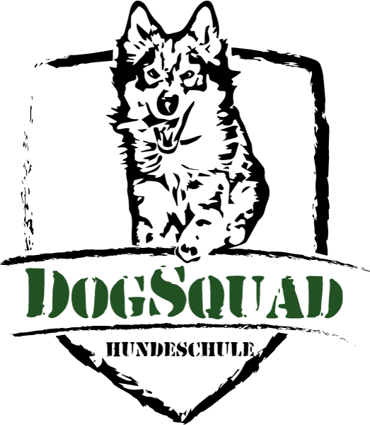 hundetraining-koeln-dogsquad.jpg