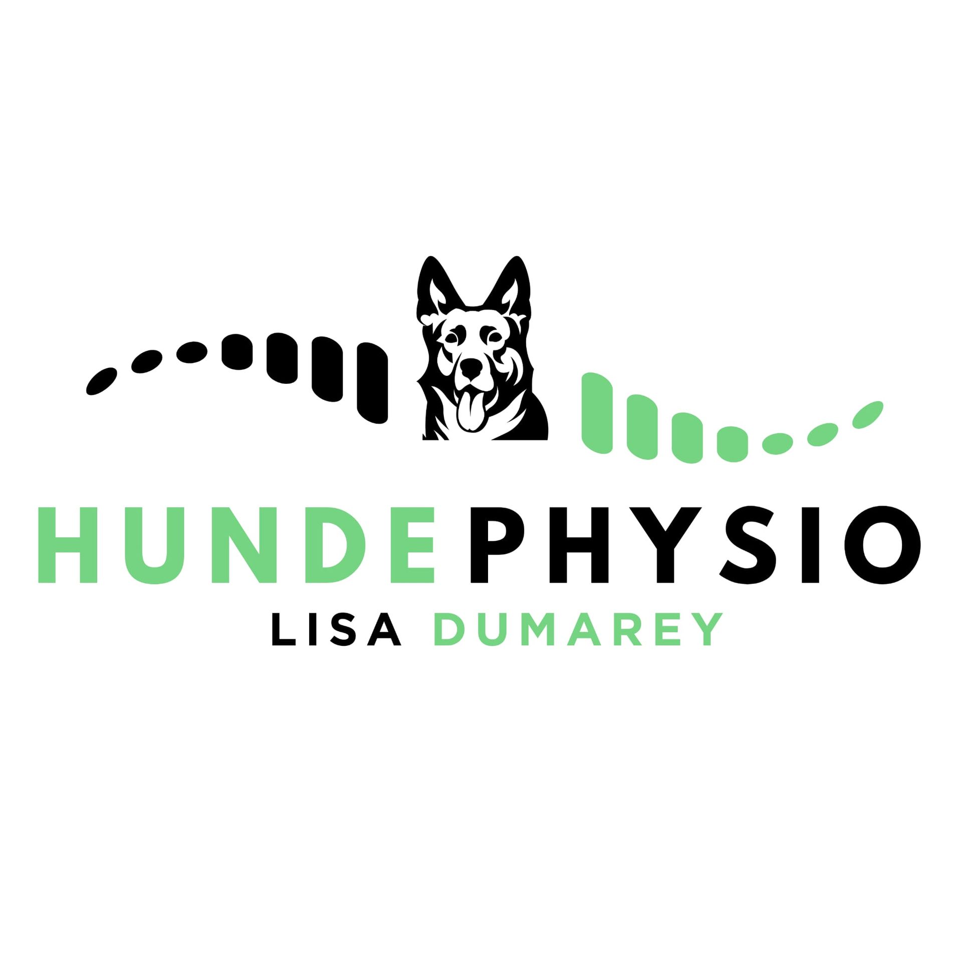hunde-physio-koeln.jpg