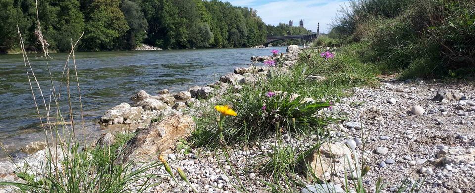 Coaching in der Natur inspiriert