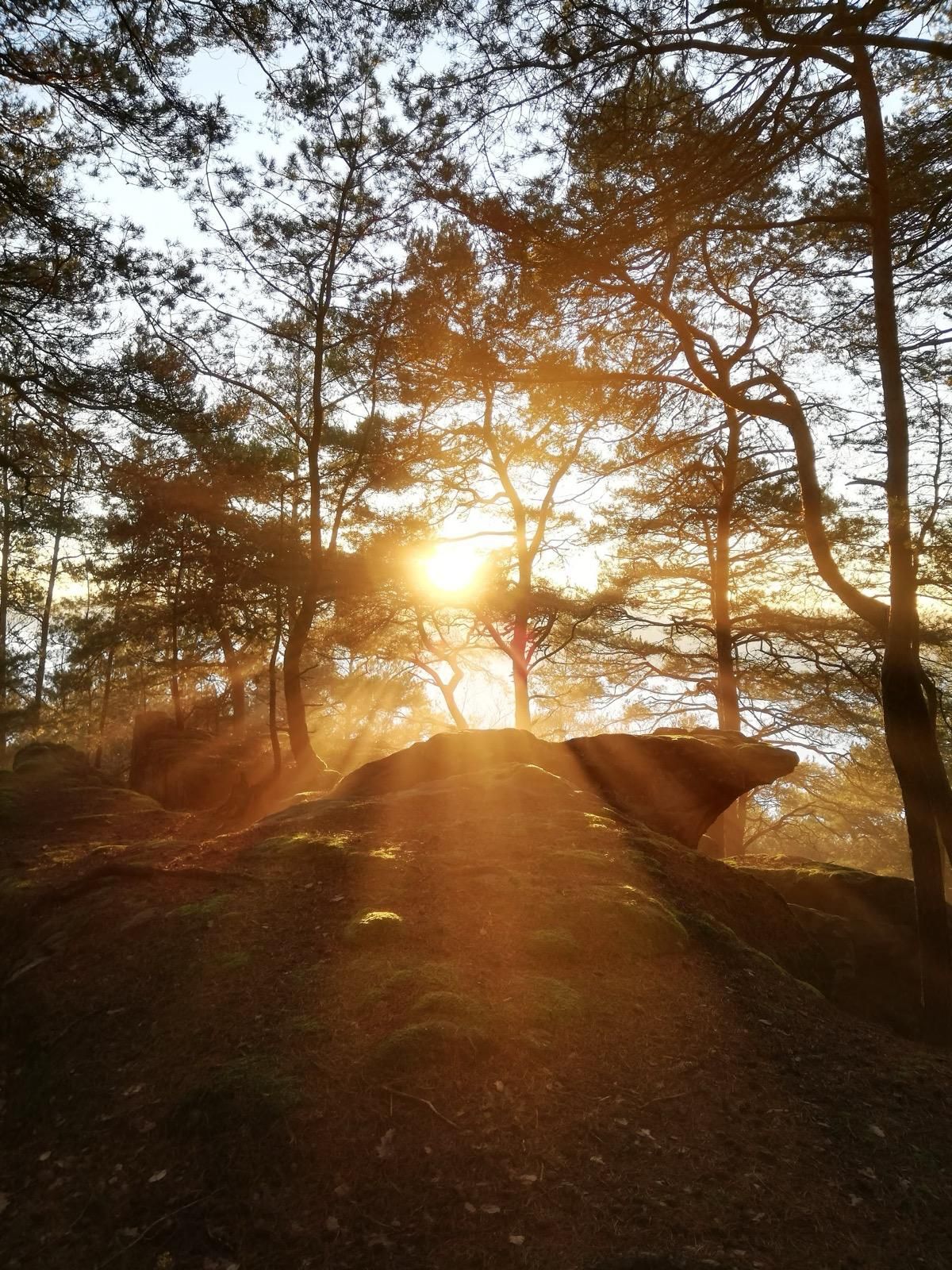 Impressionen Wildniszeit