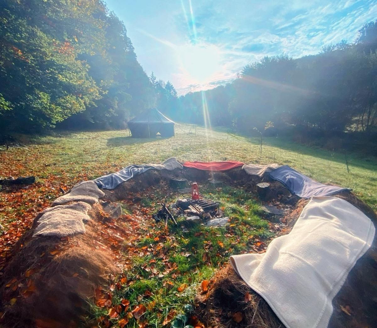 Waldsofa im Morgenlicht