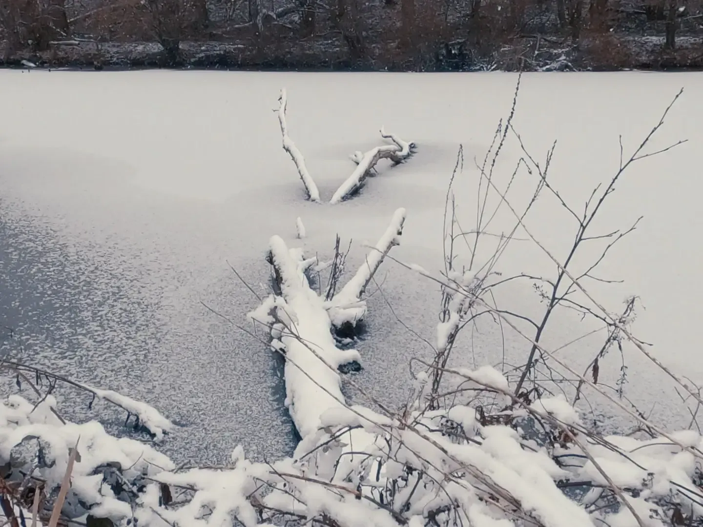 Laufen an der Saarschleife im Winter