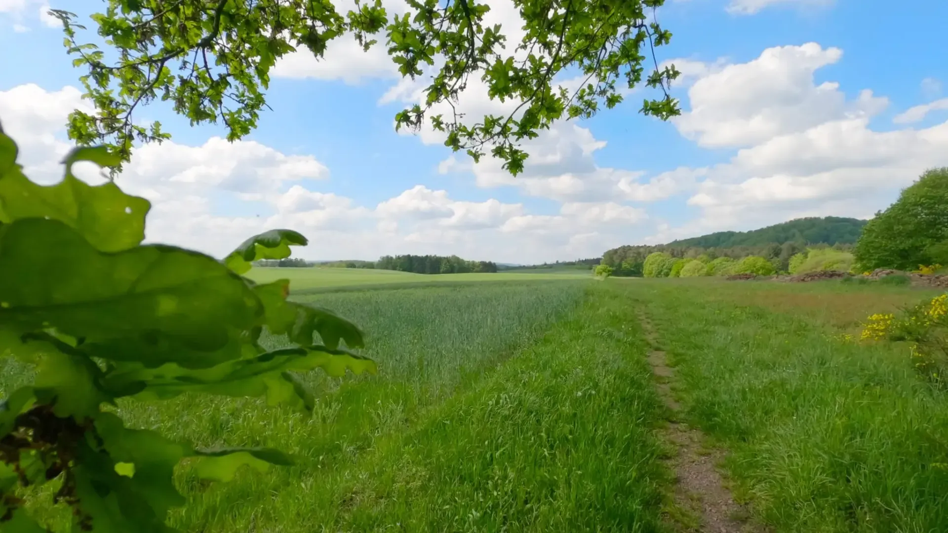 Trailrunning Litermont Sagenweg