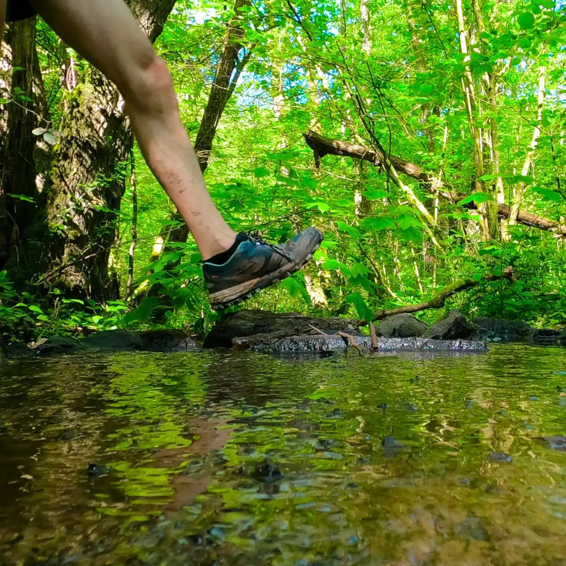 Trailrunning Litermont Sagenweg