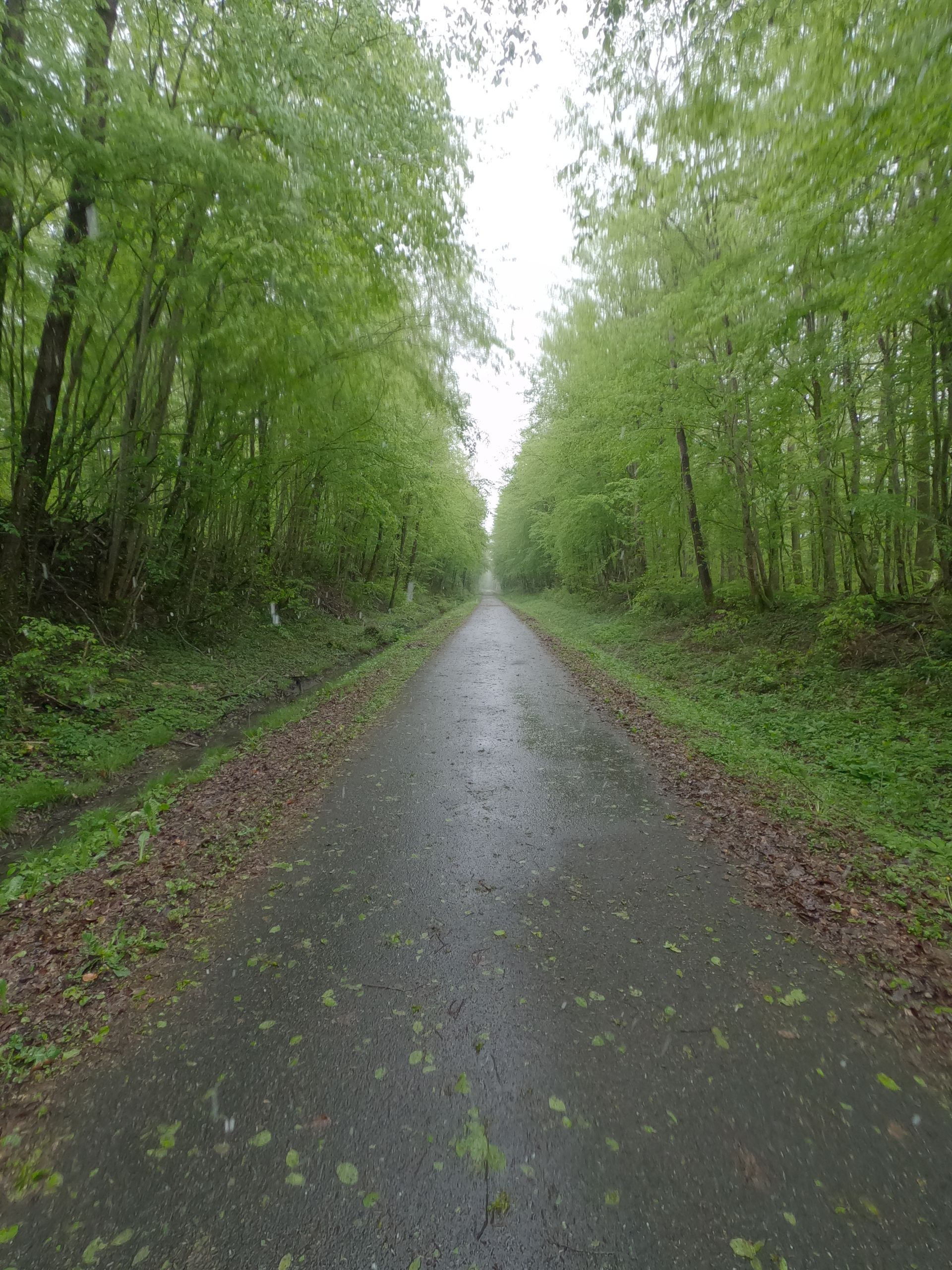 Bikepackingtour - Voie verte Vogesen