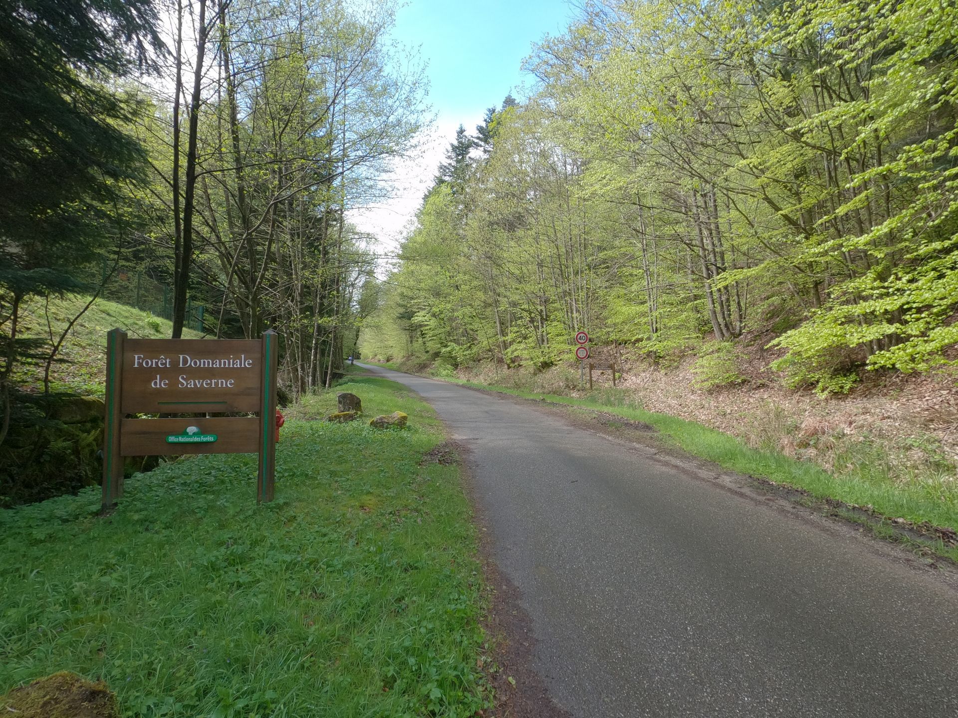 Bikepackingtour - Route Forestière Saverne