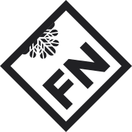 FN Mosaik Logo