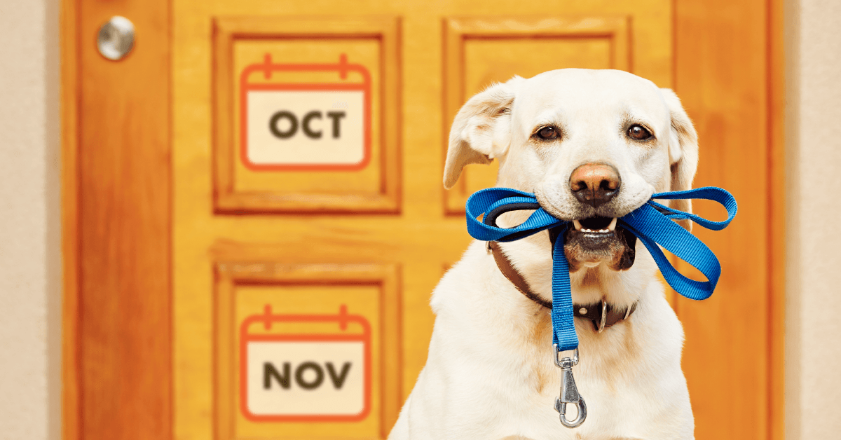 labrador retriever with leash in its mouth at the door with October and November calendars superimosed onto it