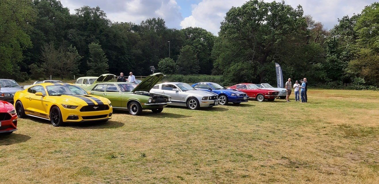 Surrey Mustang Owners Club