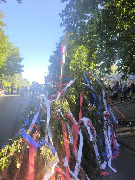 Ein hoher, mit roten, weißen und blauen Luftschlangen geschmückter Maibaum steht an einem sonnigen Straßenrand.
