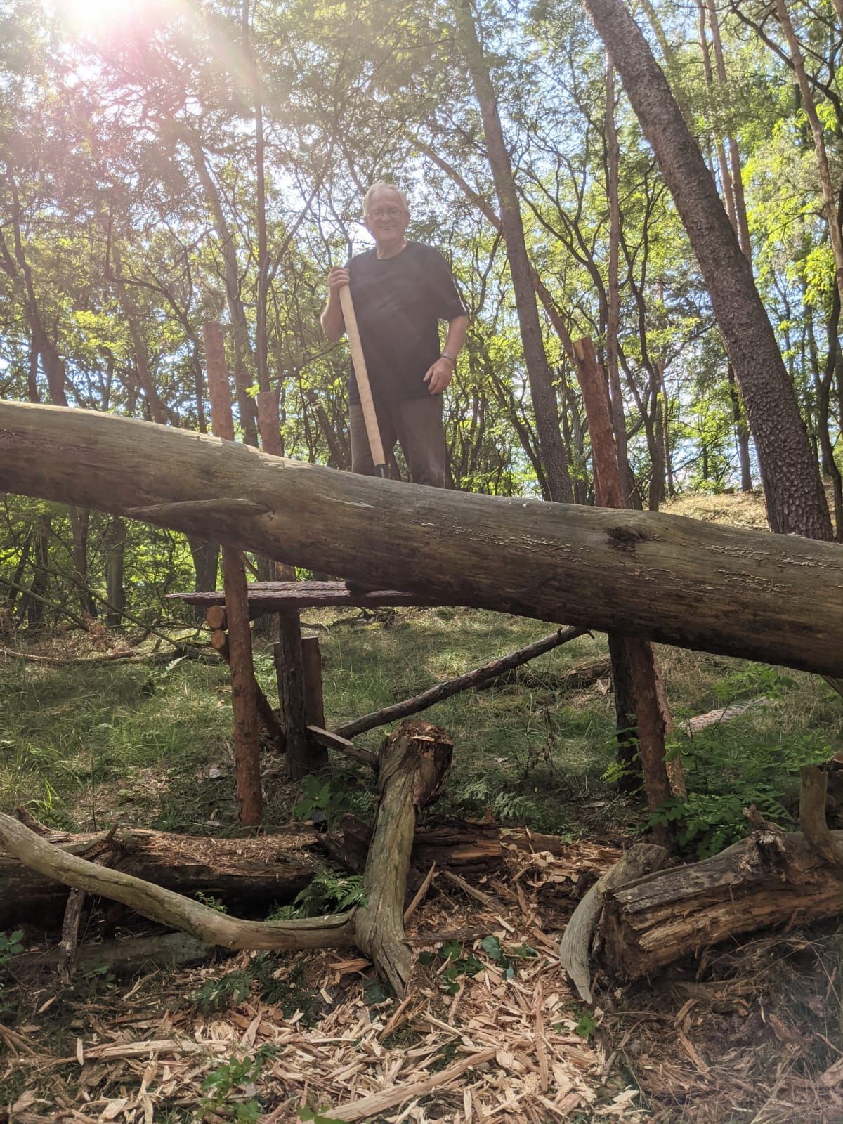 Märchenwald Projekt