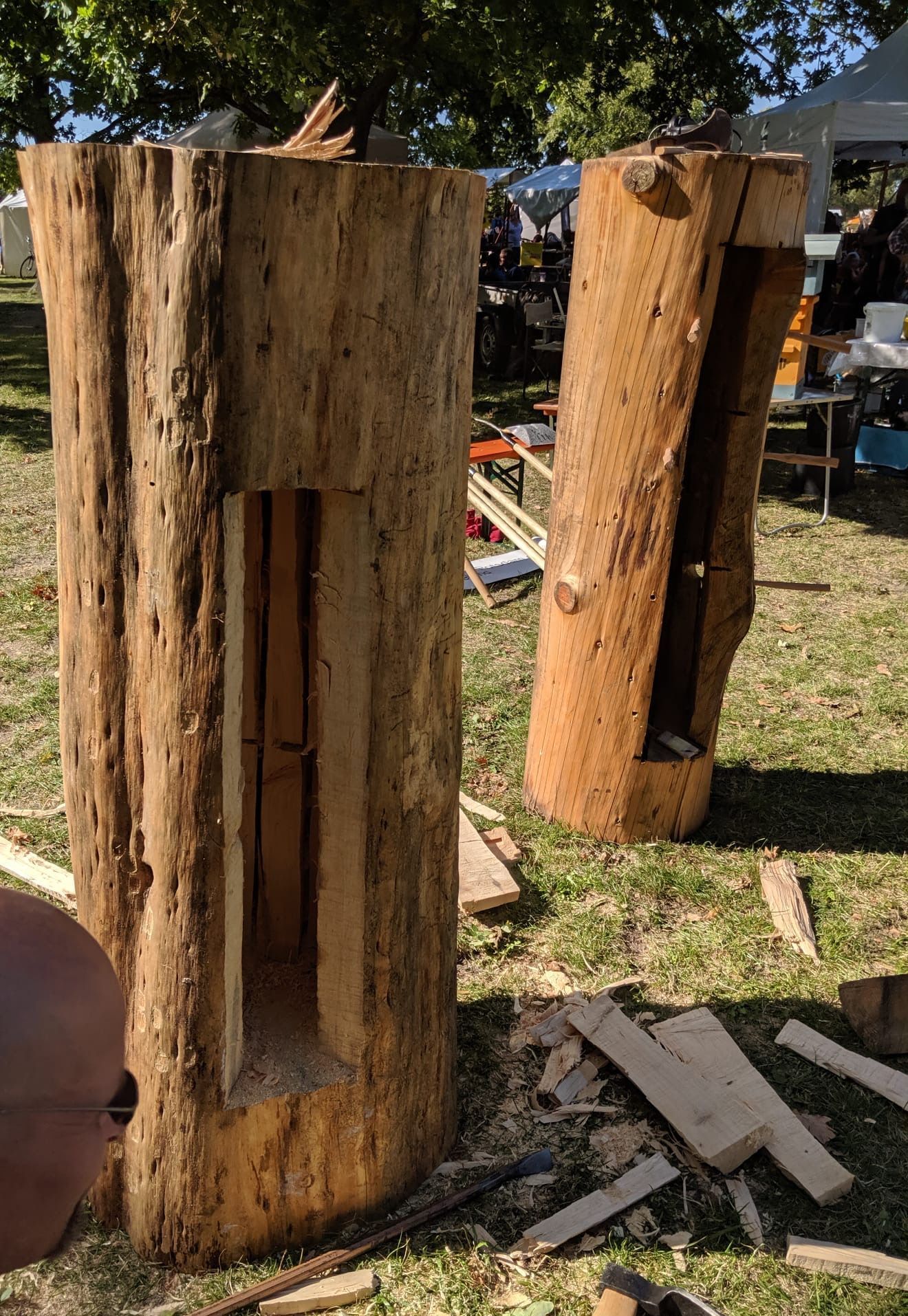 Ergebnis des Potsdamer Umweltfestes