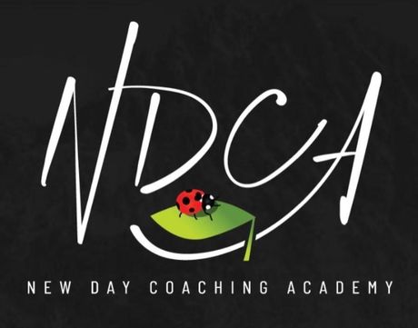 new day coaching academy