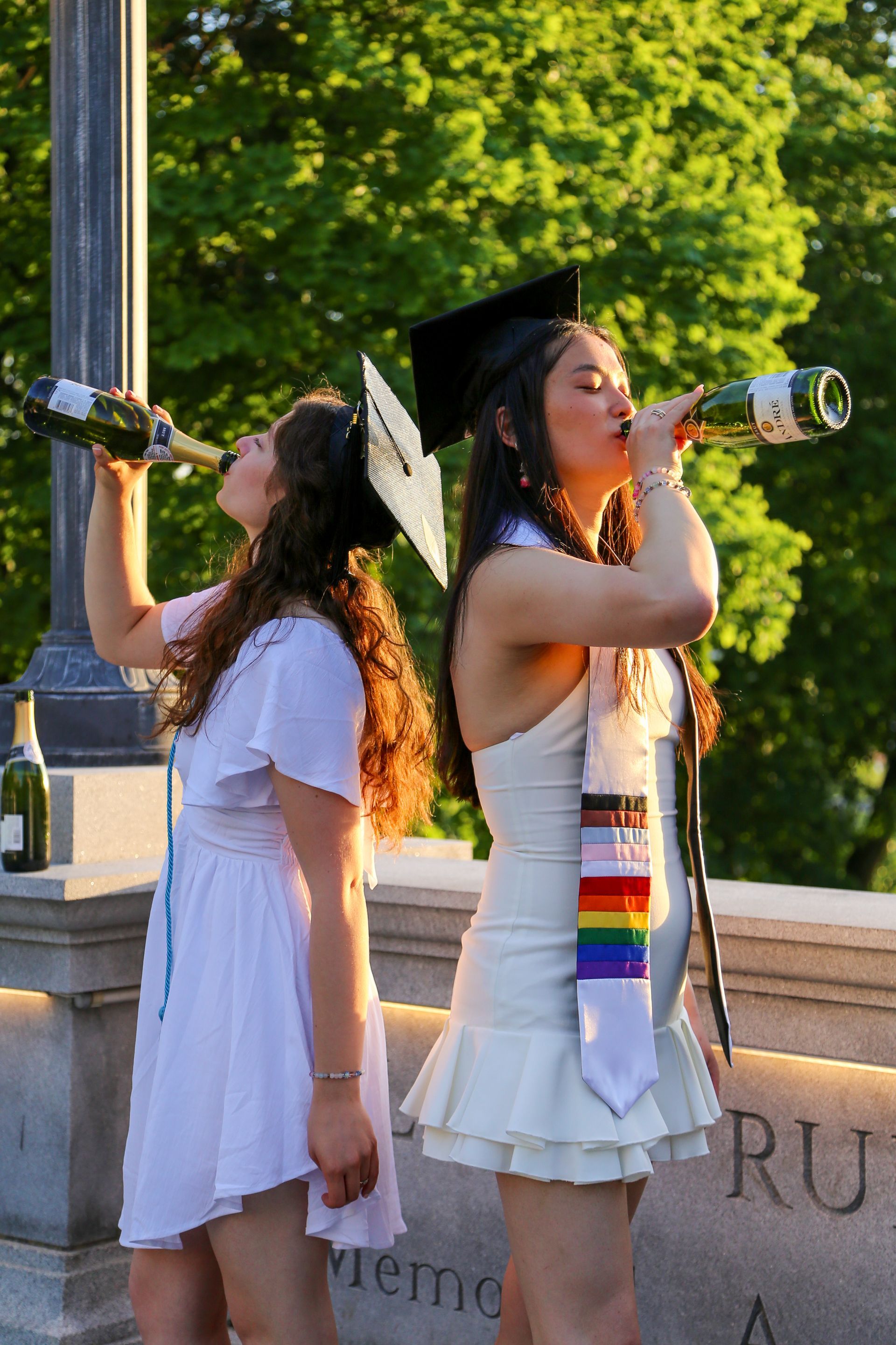 Cap and gown portraits at University at Albany