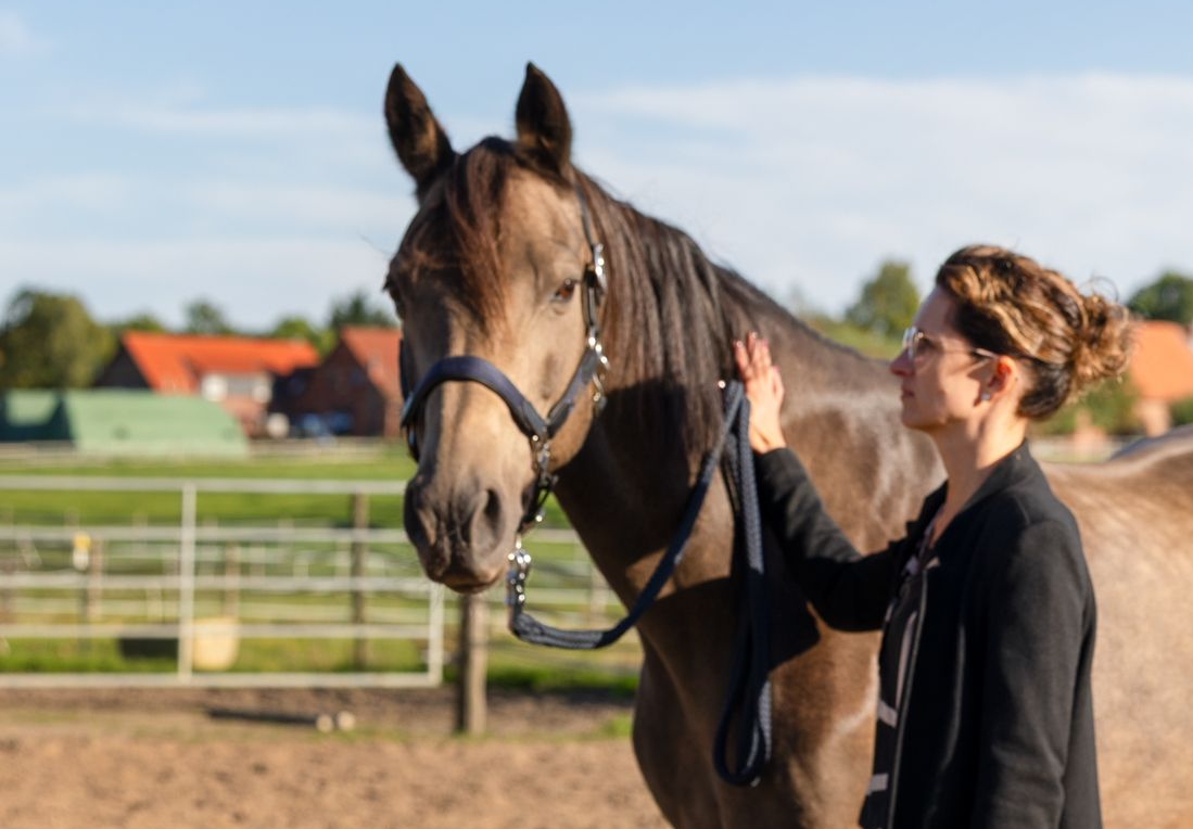 Koregulation Pferd-Mensch im Coaching | Equivalenz | Bielefeld - Hannover - Braunschweigf