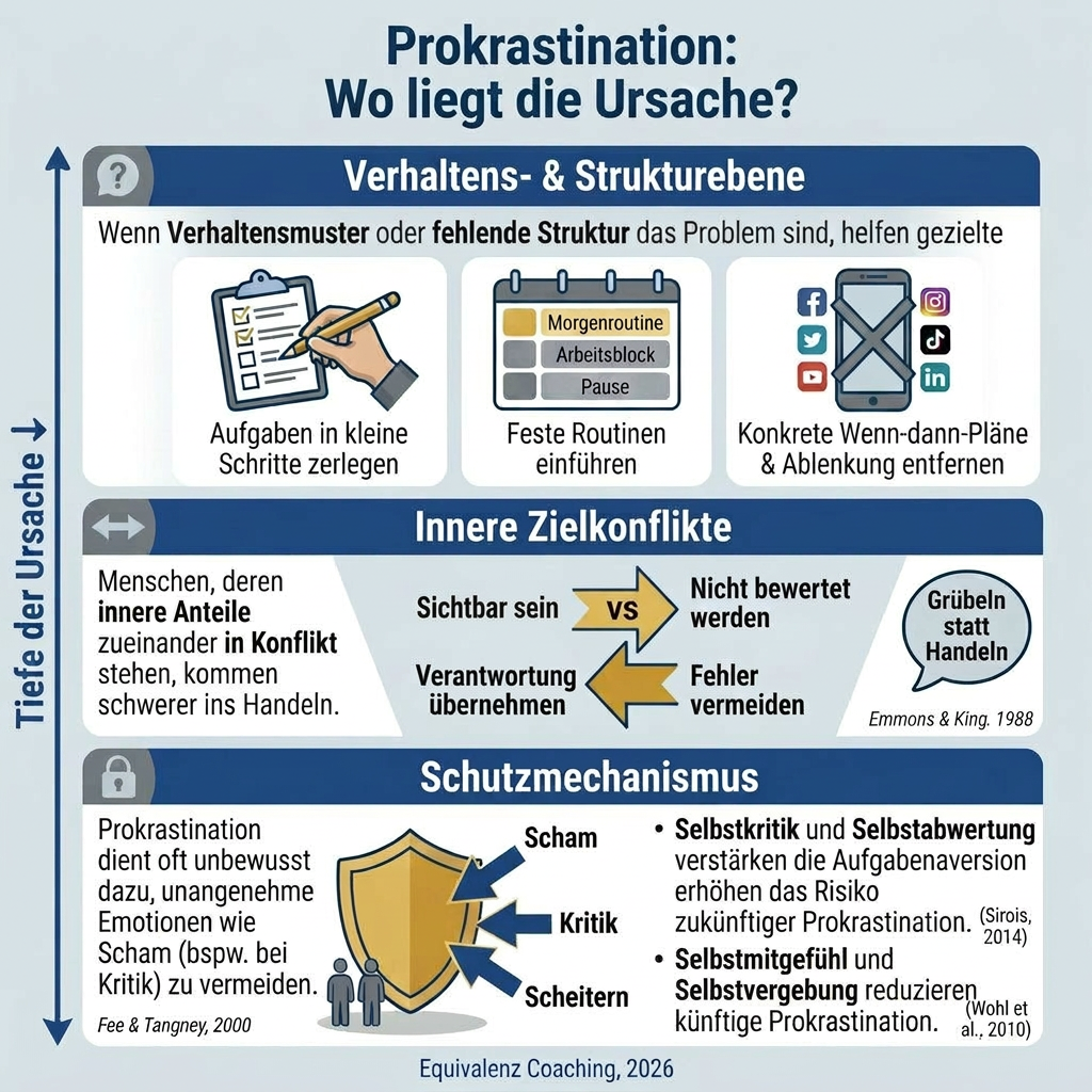 Infografik Ursachen von Prokrastination | Equivalenz Coaching