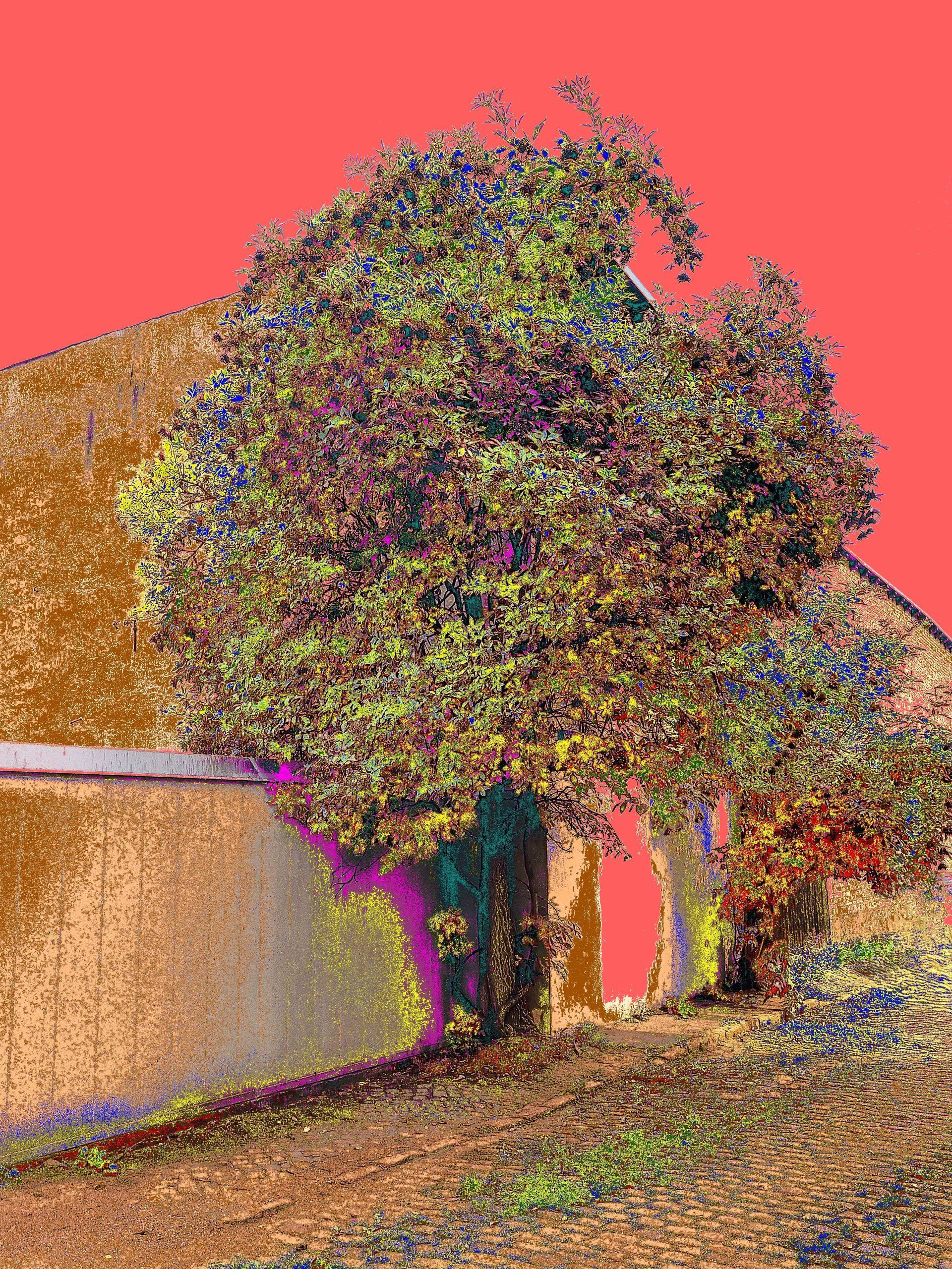 Halltree