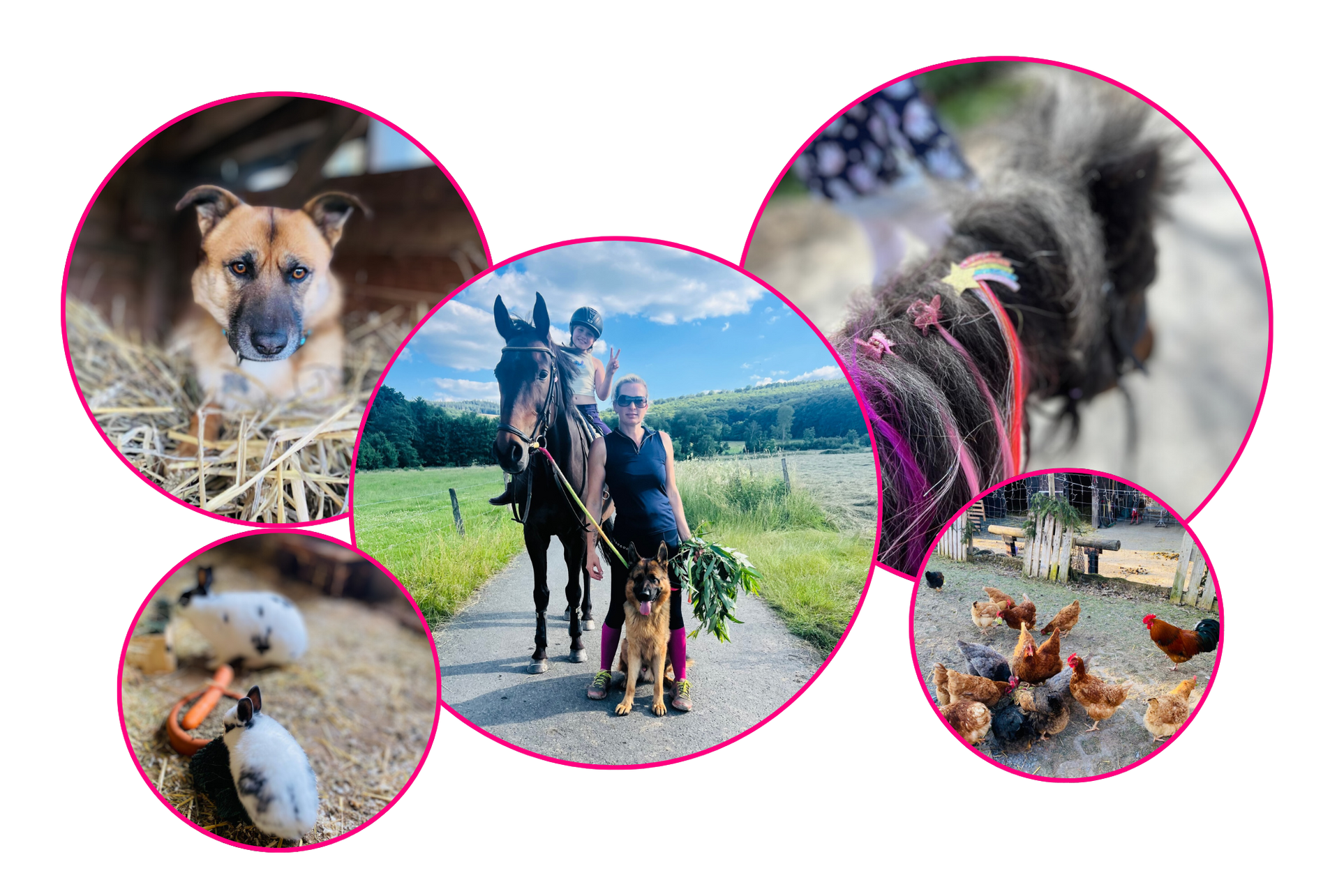 Hof Kunterbunt - das sind wir