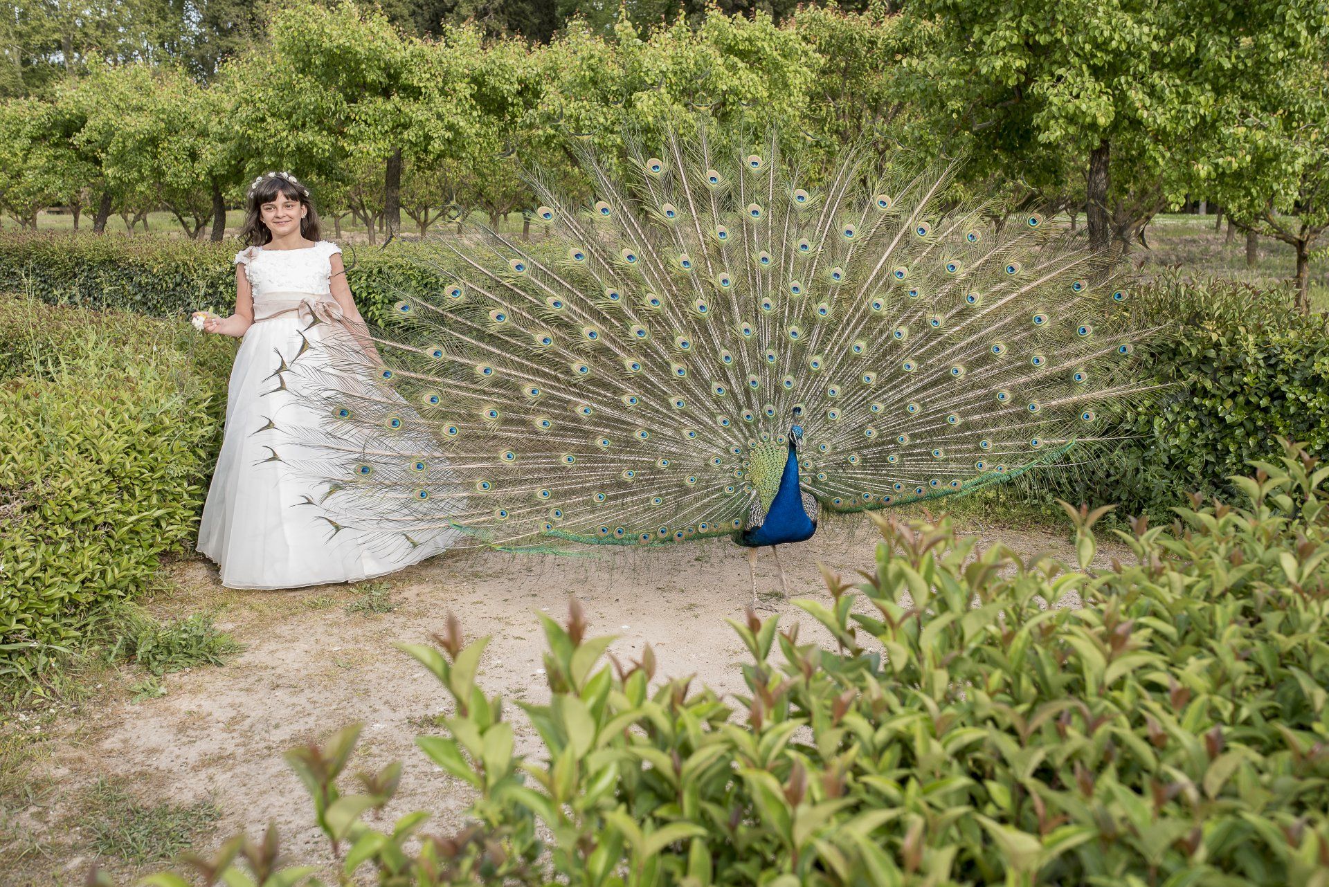 #CommunionPhotographySouthMadrid