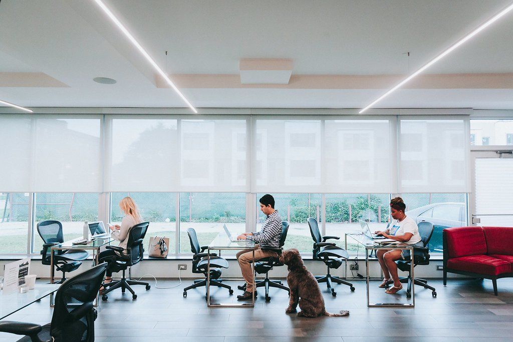 Flexible Workspace at University CoWork