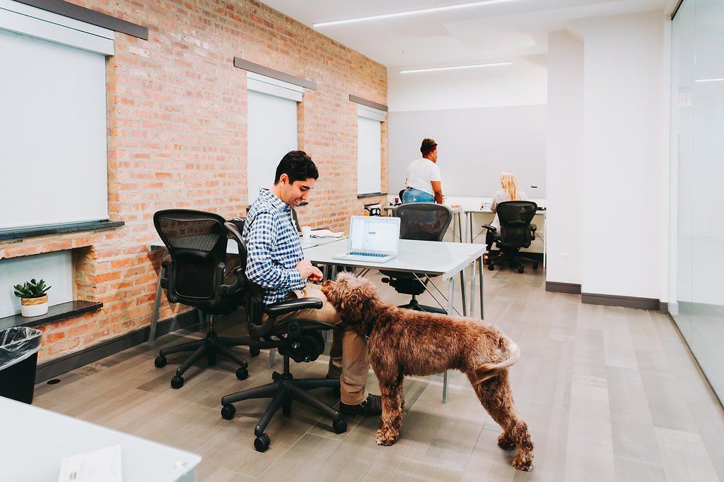 Dedicated Desks and Private Offices at University CoWork